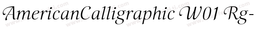 AmericanCalligraphic W01 Rg字体转换